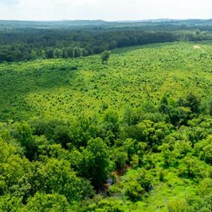 Photo #6 of 937 White Fall Road, Gretna, VA 103.9 acres