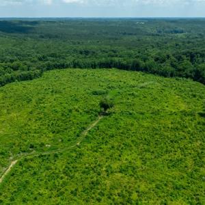 Photo #2 of 937 White Fall Road, Gretna, VA 103.9 acres