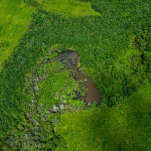 Photo #5 of 937 White Fall Road, Gretna, VA 103.9 acres