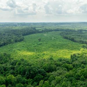 Photo #7 of 937 White Fall Road, Gretna, VA 103.9 acres