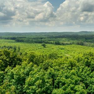 Photo #11 of 937 White Fall Road, Gretna, VA 103.9 acres