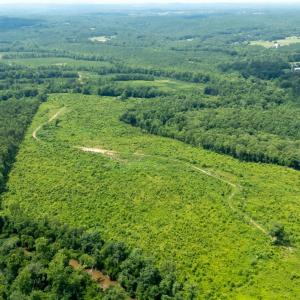 Photo #14 of 937 White Fall Road, Gretna, VA 103.9 acres