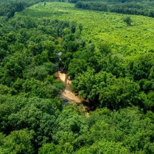 Photo #12 of 937 White Fall Road, Gretna, VA 103.9 acres