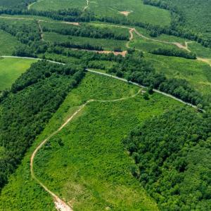 Photo #1 of 937 White Fall Road, Gretna, VA 103.9 acres