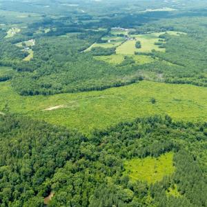 Photo #15 of 937 White Fall Road, Gretna, VA 103.9 acres