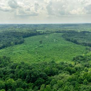 Photo #8 of 937 White Fall Road, Gretna, VA 103.9 acres