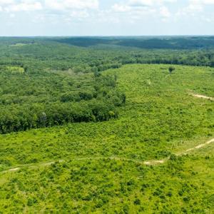 Photo #17 of 937 White Fall Road, Gretna, VA 103.9 acres