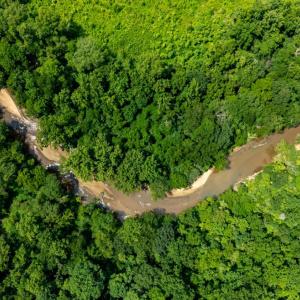 Photo #13 of 937 White Fall Road, Gretna, VA 103.9 acres