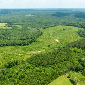 Photo #16 of 937 White Fall Road, Gretna, VA 103.9 acres