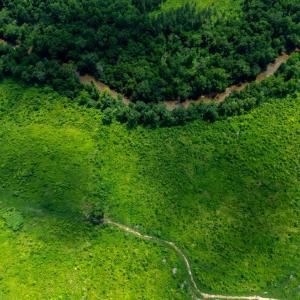 Photo #3 of 937 White Fall Road, Gretna, VA 103.9 acres