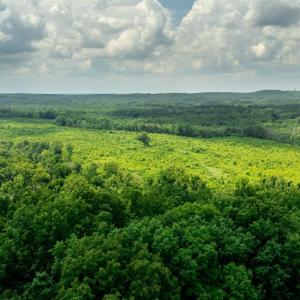 Photo #9 of 937 White Fall Road, Gretna, VA 103.9 acres