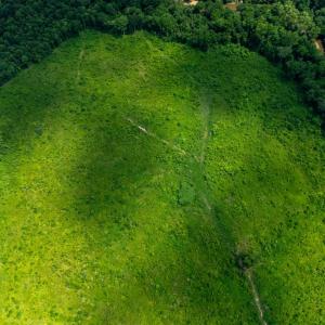 Photo #4 of 937 White Fall Road, Gretna, VA 103.9 acres