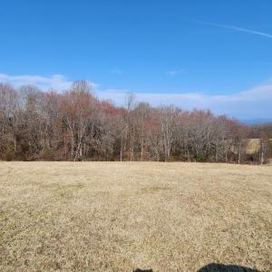 Photo #7 of Forest Road, Bedford, VA 8.4 acres
