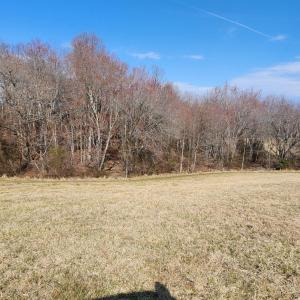 Photo #8 of Forest Road, Bedford, VA 8.4 acres