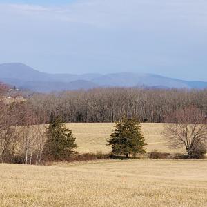 Photo #6 of Forest Road, Bedford, VA 8.4 acres