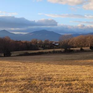 Photo #1 of Forest Road, Bedford, VA 8.4 acres