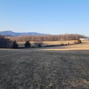 Photo #3 of Forest Road, Bedford, VA 8.4 acres