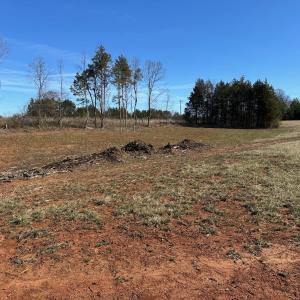 Photo #3 of 0 Lewis Ford Road Lot 1, Brookneal, VA 75.0 acres
