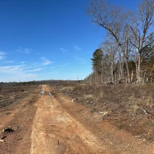 Photo #10 of 0 Lewis Ford Road Lot 1, Brookneal, VA 75.0 acres