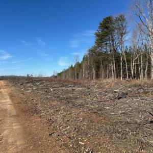 Photo #11 of 0 Lewis Ford Road Lot 1, Brookneal, VA 75.0 acres