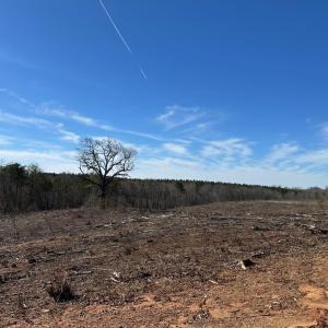 Photo #7 of 0 Lewis Ford Road Lot 1, Brookneal, VA 75.0 acres