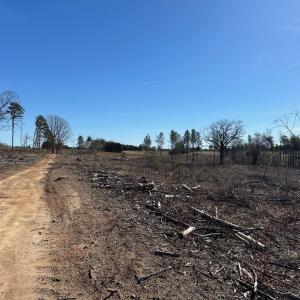 Photo #15 of 0 Lewis Ford Road Lot 1, Brookneal, VA 75.0 acres
