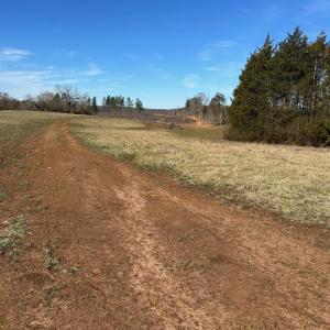 Photo #1 of 0 Lewis Ford Road Lot 1, Brookneal, VA 75.0 acres