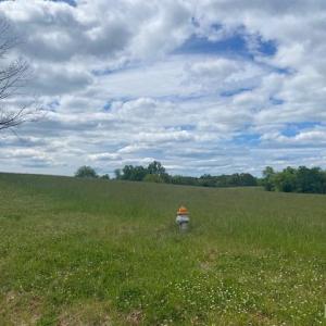 Photo #3 of Kitsmont, Forest, VA 1.2 acres
