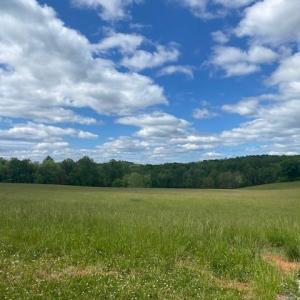 Photo #4 of Kitsmont, Forest, VA 1.2 acres