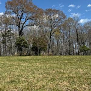 Photo #7 of SOLD property in 0 Jennings Drive, Lynchburg, VA 1.5 acres