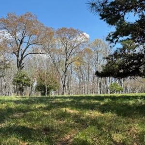 Photo #9 of SOLD property in 0 Jennings Drive, Lynchburg, VA 1.5 acres