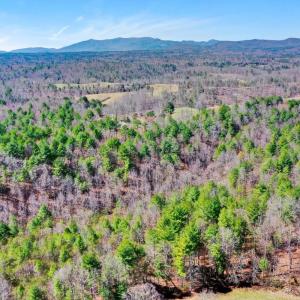 Photo #3 of Buffalo Springs Turnpike, Amherst, VA 62.9 acres
