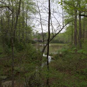 Photo #54 of Lot 361 Clear Point Run, Lynch Station, VA 3.7 acres