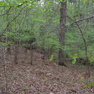 Photo #50 of Lot 361 Clear Point Run, Lynch Station, VA 3.7 acres
