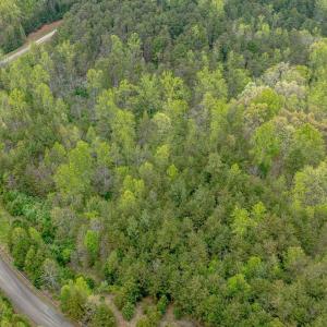 Photo #11 of Lot 361 Clear Point Run, Lynch Station, VA 3.7 acres