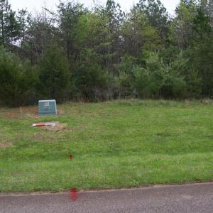 Photo #70 of Lot 361 Clear Point Run, Lynch Station, VA 3.7 acres