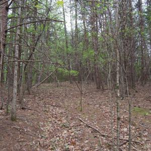 Photo #64 of Lot 361 Clear Point Run, Lynch Station, VA 3.7 acres