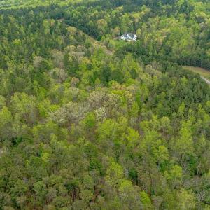 Photo #23 of Lot 361 Clear Point Run, Lynch Station, VA 3.7 acres