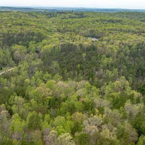 Photo #18 of Lot 361 Clear Point Run, Lynch Station, VA 3.7 acres