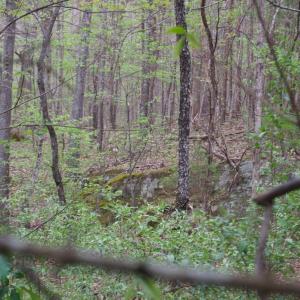 Photo #34 of Lot 361 Clear Point Run, Lynch Station, VA 3.7 acres
