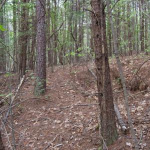 Photo #63 of Lot 361 Clear Point Run, Lynch Station, VA 3.7 acres