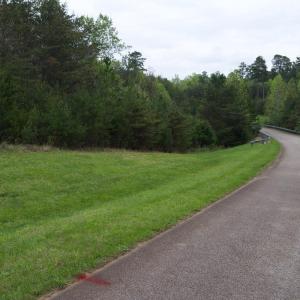Photo #69 of Lot 361 Clear Point Run, Lynch Station, VA 3.7 acres