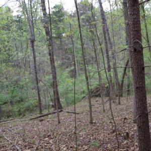 Photo #60 of Lot 361 Clear Point Run, Lynch Station, VA 3.7 acres