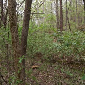 Photo #32 of Lot 361 Clear Point Run, Lynch Station, VA 3.7 acres