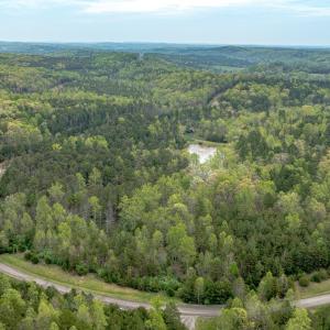 Photo #29 of Lot 361 Clear Point Run, Lynch Station, VA 3.7 acres