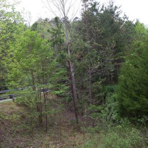 Photo #43 of Lot 361 Clear Point Run, Lynch Station, VA 3.7 acres