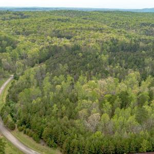 Photo #19 of Lot 361 Clear Point Run, Lynch Station, VA 3.7 acres