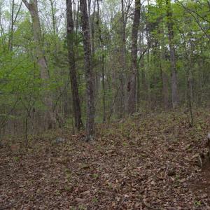 Photo #56 of Lot 361 Clear Point Run, Lynch Station, VA 3.7 acres