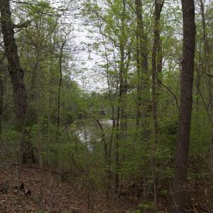 Photo #55 of Lot 361 Clear Point Run, Lynch Station, VA 3.7 acres