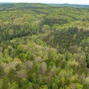 Photo #17 of Lot 361 Clear Point Run, Lynch Station, VA 3.7 acres